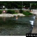 배내골아일랜드펜션 이미지