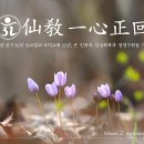 선기로2-5 이미지