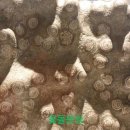 청송꽃돌 이미지