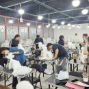 미용농장 이미지