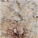 생태세상 이미지