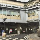 본가삼겹살 | 정자역 맛집 삼겹살 흑돈본가 정자본점 방문후기