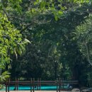 수영하나약국 이미지