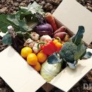 무릉외갓집 이미지