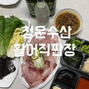[청주 금천동 맛집] - 청운수산활어직판장 금천점 대방어 포장 후기 l 동네횟집추천