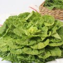 조은세상영농조합법인 이미지