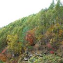 조무락계곡 이미지