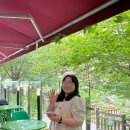 pet66다2024 | 81.5kg에서 66kg까지, 천천히 빼온 다이어트 후기