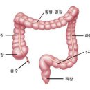 고령자의 암발생은 소염진통제가 주요 원인이다.&#34;내가 항암제 투여한 환자 500명, 다 죽었다&#34;＜뉴시스 이미지