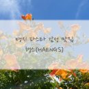 행스(HAENGS) 네이버블로그