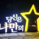 예산초 단풍나무길 | [축제여행] 2025년 천안독립기념관 단풍나무길 야간개장 방문후기