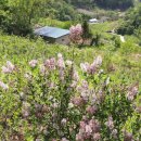 토종농장 이미지