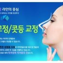 김성수이비인후과 네이버블로그