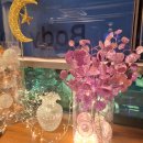 대영로 | 쉼데이 청담아로마 커플발마사지 부산역점 후기 부산 동구 대영로243번길 87 | 2층 | 매일 10:00–01:00...