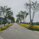 구미보명품화장실 이미지