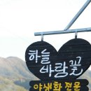 하늘바람꽃농원 이미지