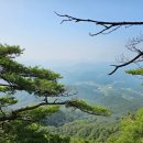 중원-100 이미지