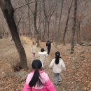 숲체원 | 아이들과 함께하기 좋은 숲속 캠프 "국립 청도 숲체원" 다녀온 후기