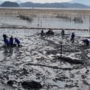 거차뻘배체험마을 이미지