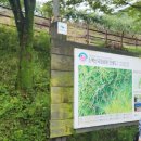 죽계 | 구곡길- 영주 죽계구곡