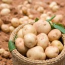 011-조리-011 이미지