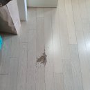 광교푸르지오시티3단지 이미지