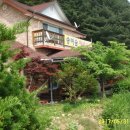 송이펜션 이미지