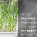메이신건강식품