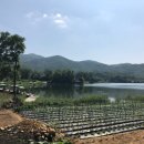 오류내낚시터 이미지