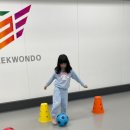 삼성체육도장 이미지