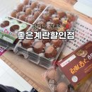 경기 광주 경안동 24시 무인 좋은계란할인점 방문 후기