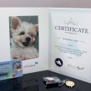 이마트24 앞 이미지