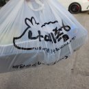 나예족 이미지
