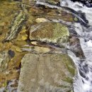 당림유원지 이미지