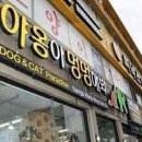 야옹 이미지
