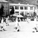 진도초등학교 이미지