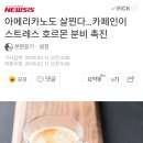 895016 이미지
