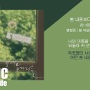 봄 내음보다 너를-김나영 이미지