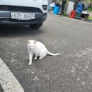 대전면사무소 이미지