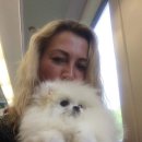 스테이 모량 이미지