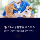 H 동물병원 | 24시 동물병원 5곳 베스트, 강아지 고양이 야간 응급 서울 비용 정보