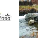 어성애견 이미지