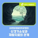 씨엔씨재활의학과병원 | 씨엔씨재활의학과병원 신경가소성과 재활치료의 관계