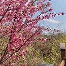 호서목장 이미지