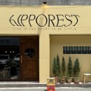 히포레스트(Hipporest) 이미지