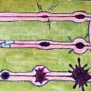 V태권도 이미지