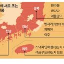 MK유통 이미지