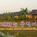 증산-007 Daum카페