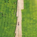 물의 기억 이미지