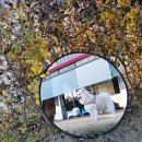 댕그라운드 이미지